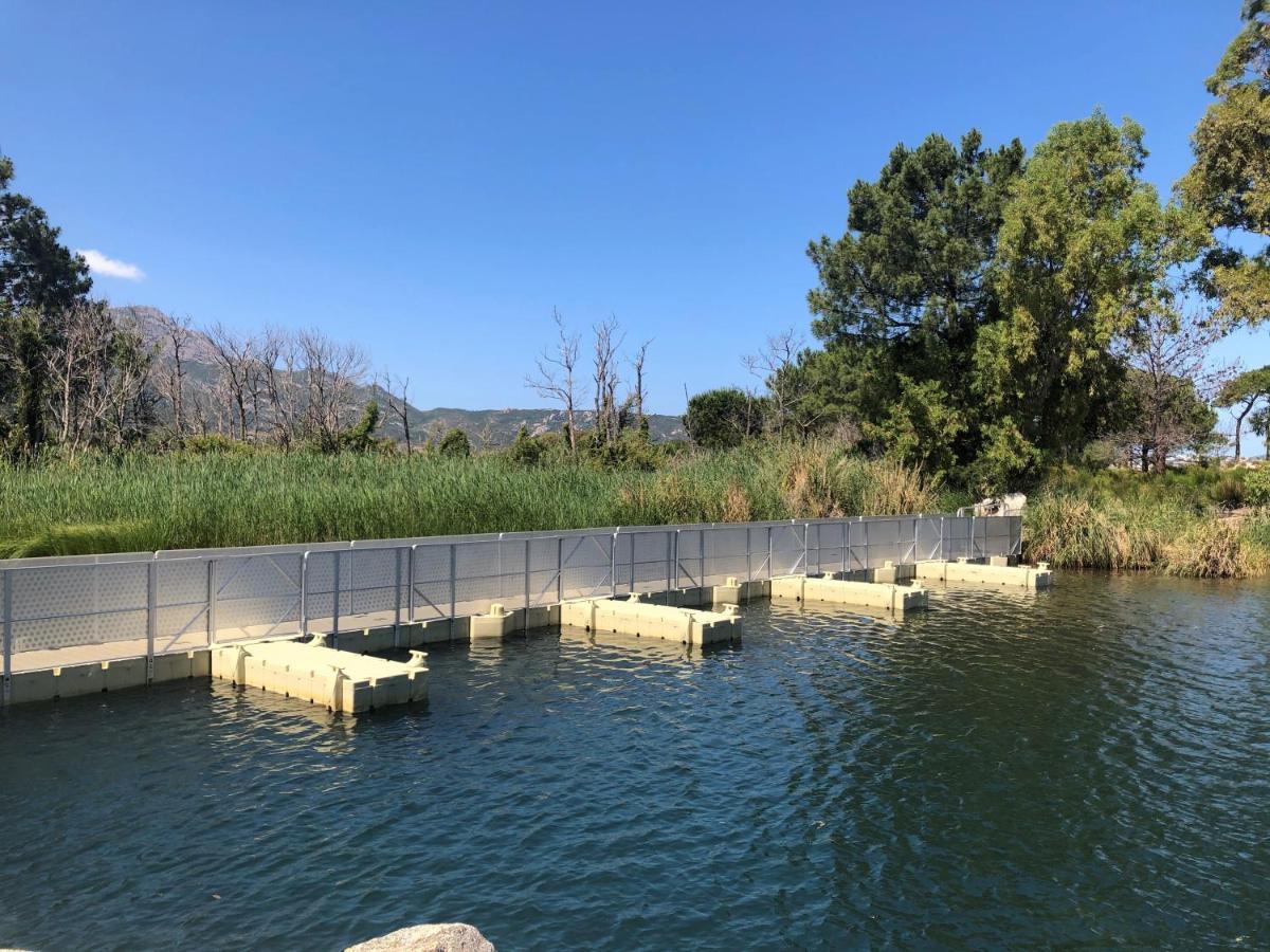 Camping Dolce Vita Calvi  Exterior foto