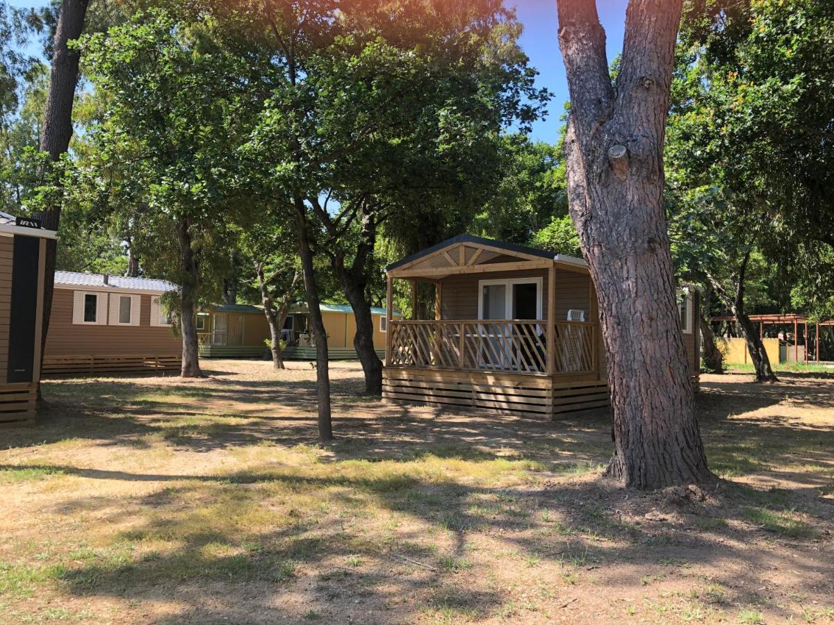 Camping Dolce Vita Calvi  Exterior foto