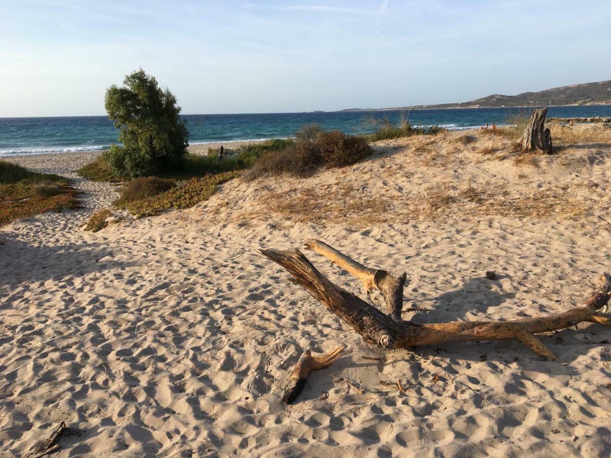 Camping Dolce Vita Calvi  Exterior foto